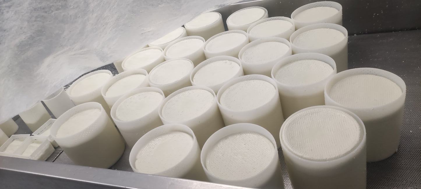 PRIMO SALE (pecorino fresco di giornata)