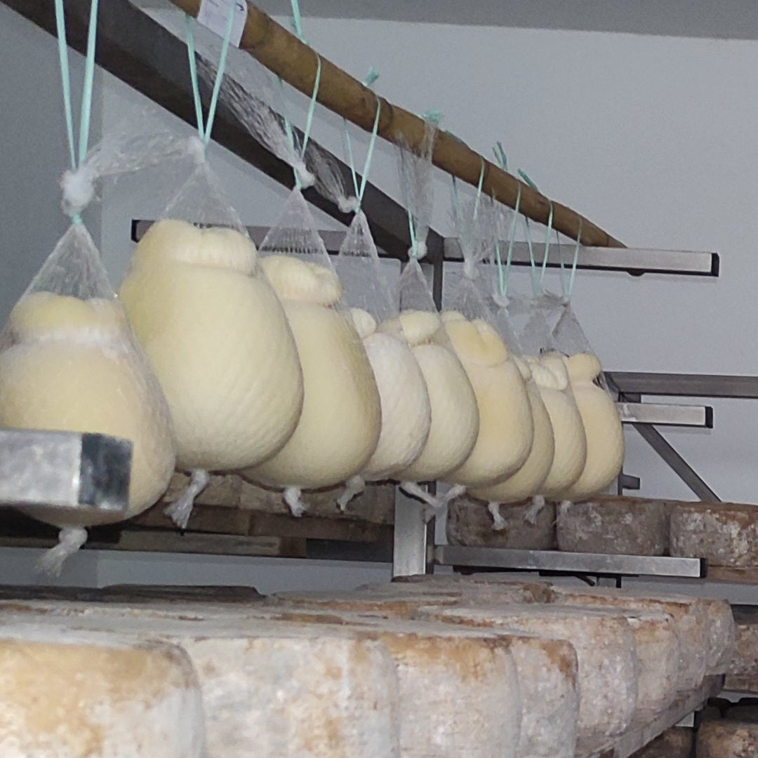 CASIZOLU di pecora (stagionato)