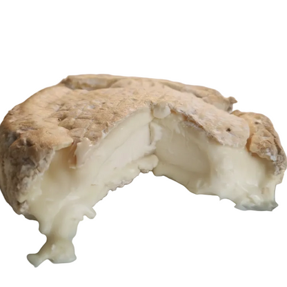 TELLIXEDDA cacciotta stracchina (tipo Brie o Camembert)