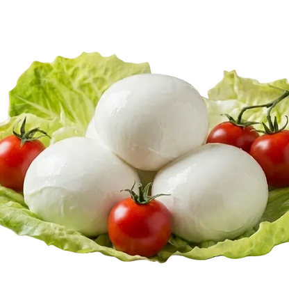 MOZZARELLAPECORELLA (MOZZARELLA DI PECORA)