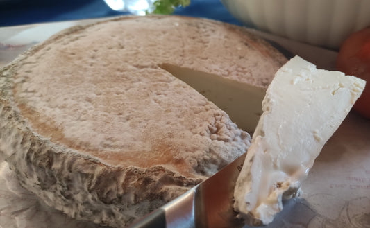 TELLIXEDDA (cacciotta stracchina di pecora tipo brie o camembert a caglio vegetale)