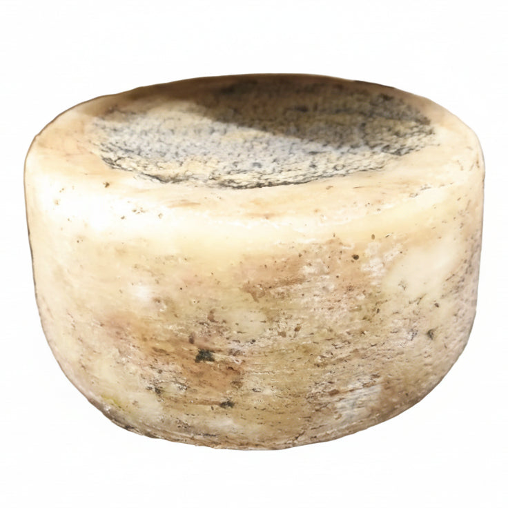 CASU DE ARRUSTIRI (pecorino fresco da arrosto)