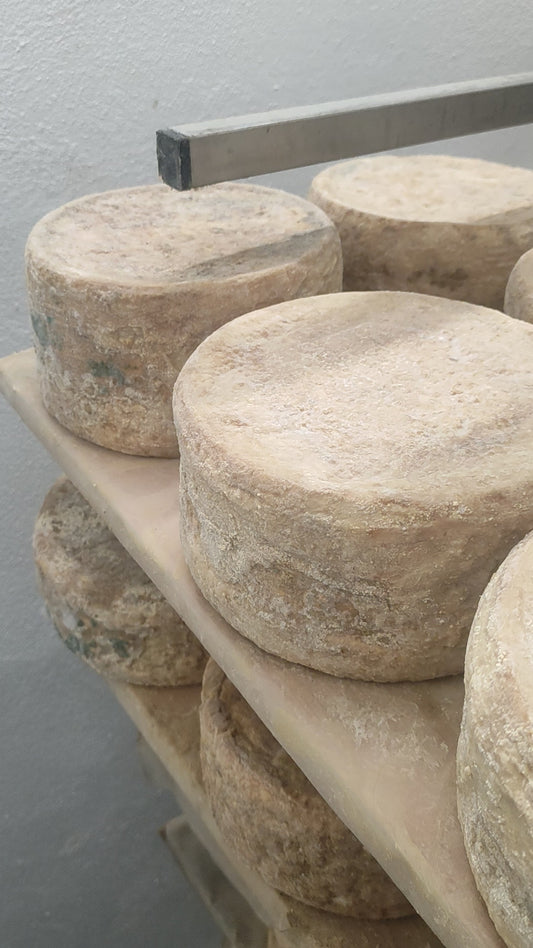 APPASSIONAU (pecorino stagionato)