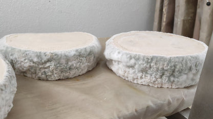 TELLIXEDDA cacciotta stracchina (tipo Brie o Camembert)