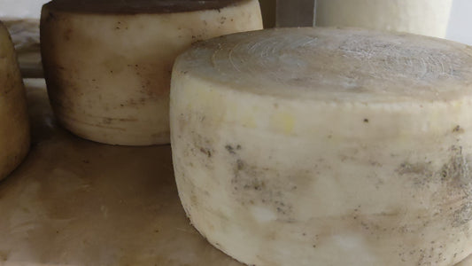 CASU DE ARRUSTIRI (pecorino fresco da arrosto)