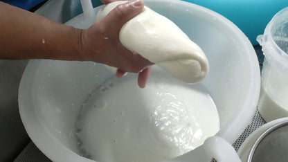 TRECCIA mozzarella di pecora