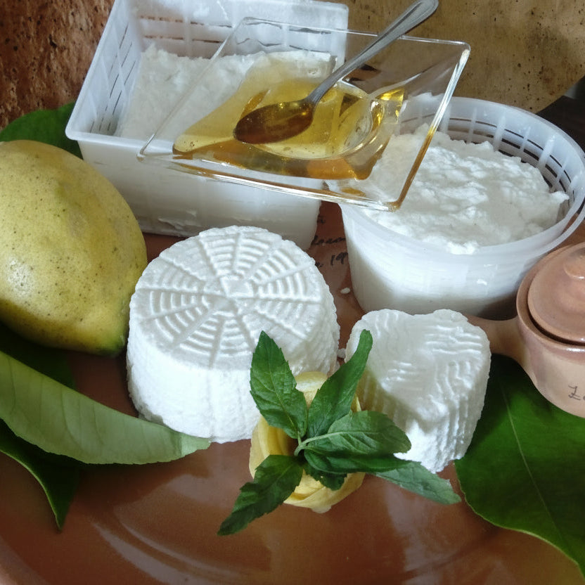 RICOTTA di pecora