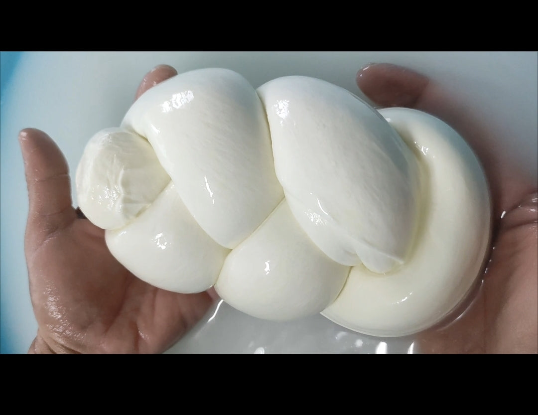 TRECCIA mozzarella di pecora