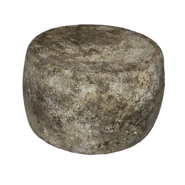 ARGIDDAU (pecorino affinato in crosta d'argilla)
