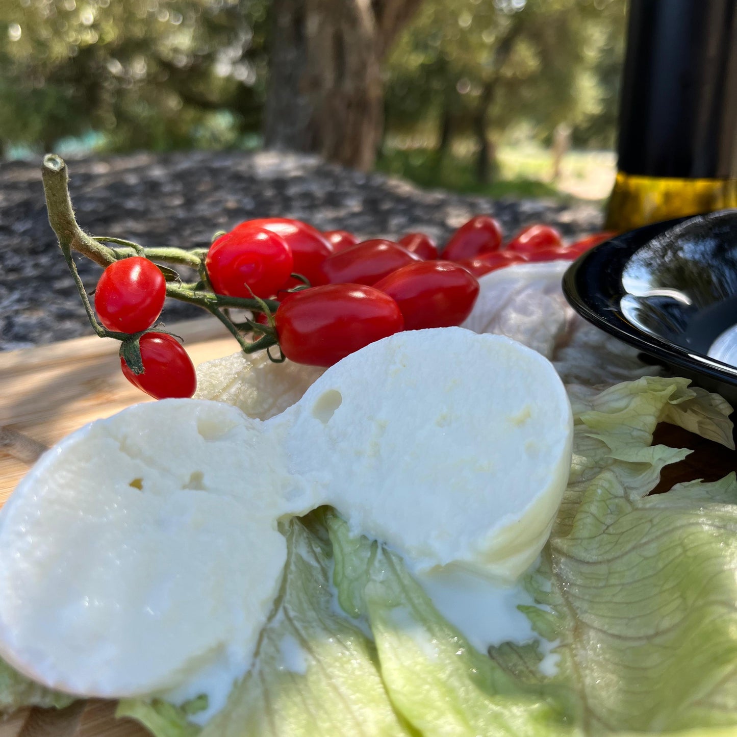 MOZZARELLAPECORELLA (MOZZARELLA DI PECORA)